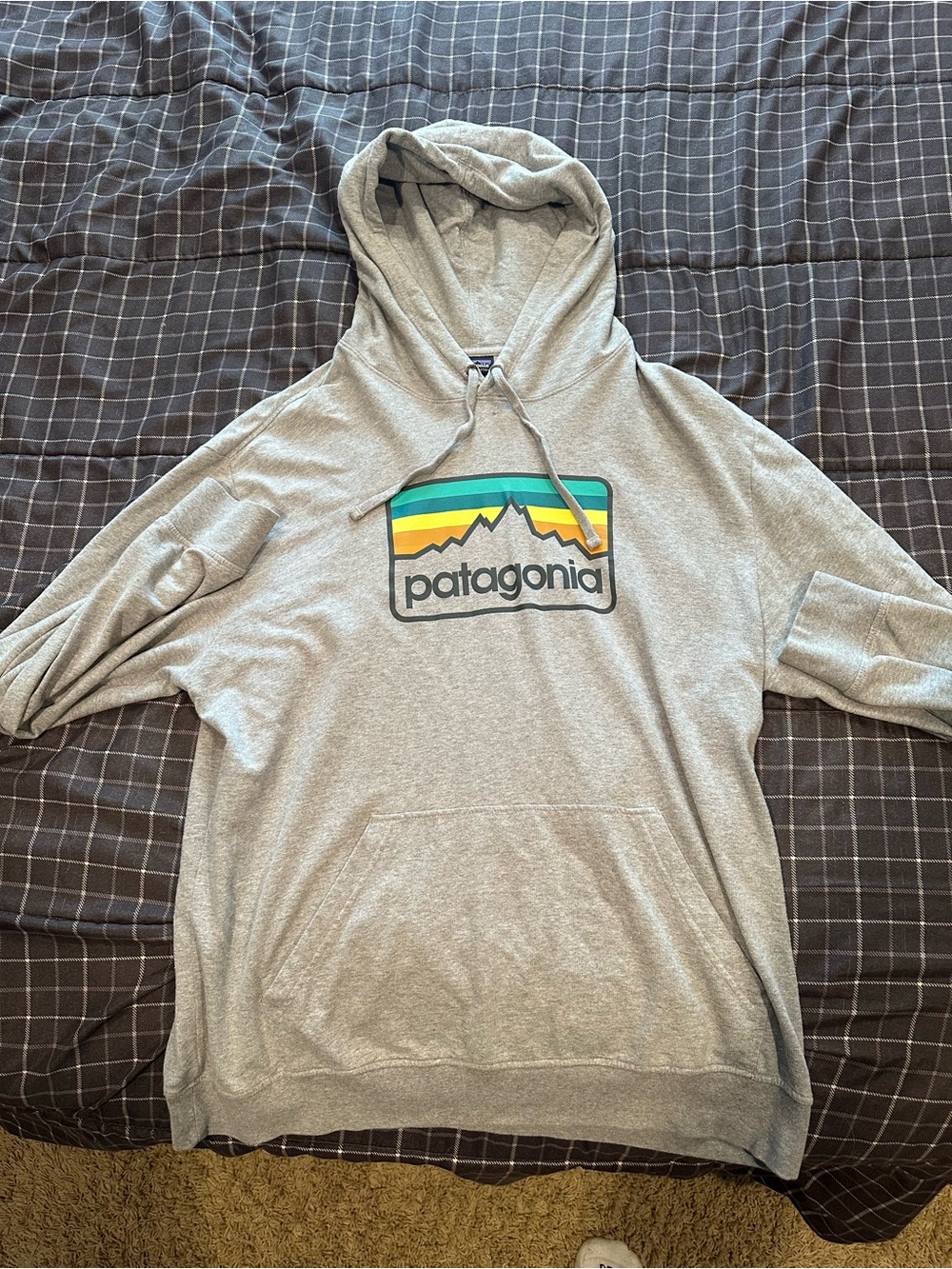 Patagonia Heather Gray Hoodie with Teal, Yellow & Green Stripe Logo